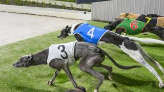 Ranger Beach’s toughness could be the golden edge